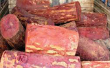 Red sanders wood smuggling bid foiled, four Chinese held in Karnataka